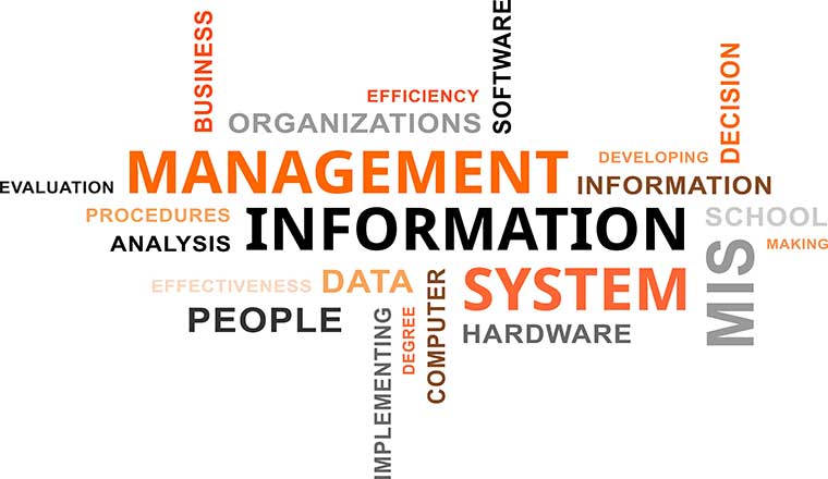 word cloud - management information systems