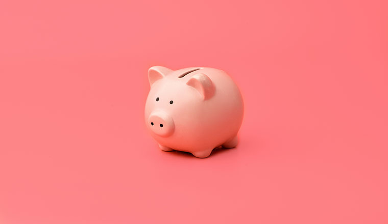 Revenue concept with Pink piggy Bank stands in the center on a pink background.