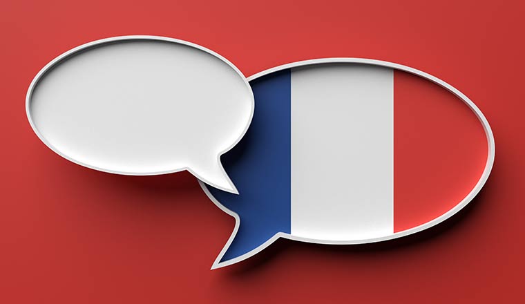 France flag talk balloon and blank speech bubble