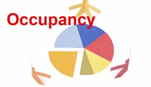 occupancy pie chart
