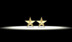 Two Gold Stars - Recognised Twice