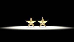 Two Gold Stars - Recognised Twice
