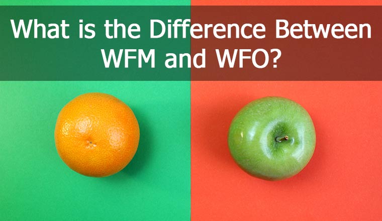 Difference Between WFO vs. WFM vs. WEM