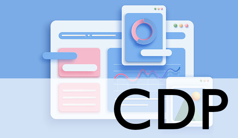 Data Platform - CDP