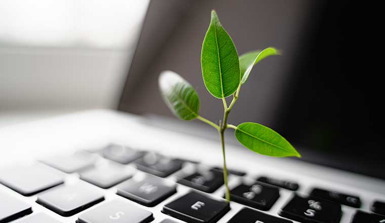 Laptop keyboard with plant growing on it