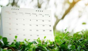 close up of calendar on green nature background