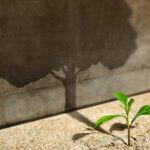 Growth and innovation leader with plant and tree shadow