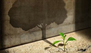 Growth and innovation leader with plant and tree shadow