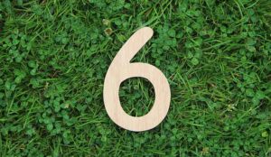 6 on green vegetation