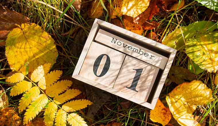 White calendar block present 1 and month of November on a background of grass and autumn leaves