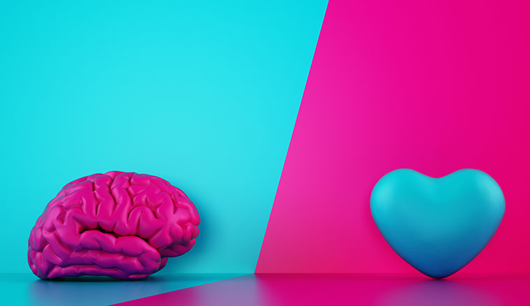 Comparison between reason and feeling. Brain and heart on a two tone background