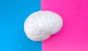 Thinking concept with brain in middle of frame, divided by half by pink and blue background