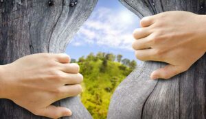 2 hands breaking through a wooden wall