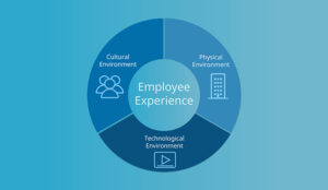 Three Environments That Create Employee Experience vector