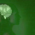 Brain and NLP, programming, natural language process