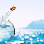 Goldfish leaps out of the aquarium to throw itself into the sea - career motivation concept