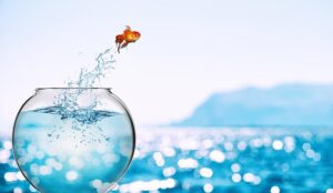 Goldfish leaps out of the aquarium to throw itself into the sea - career motivation concept