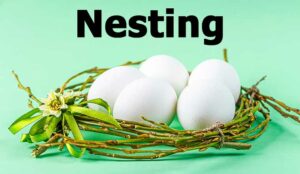 Eggs in a twig nest with the words nesting