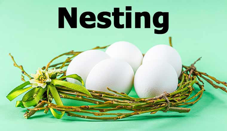 Eggs in a twig nest with the words nesting