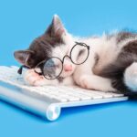 Cute little kitten in glasses fell asleep on keyboard on working desk place - quiet quitting concept
