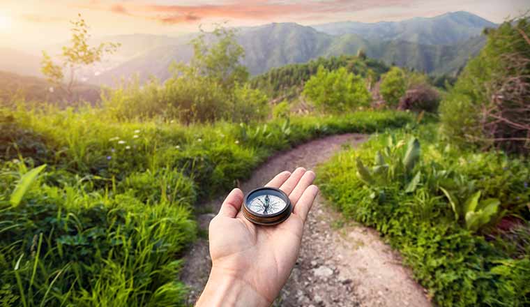 Hand with compass with greenery and sun - journey mapping concept