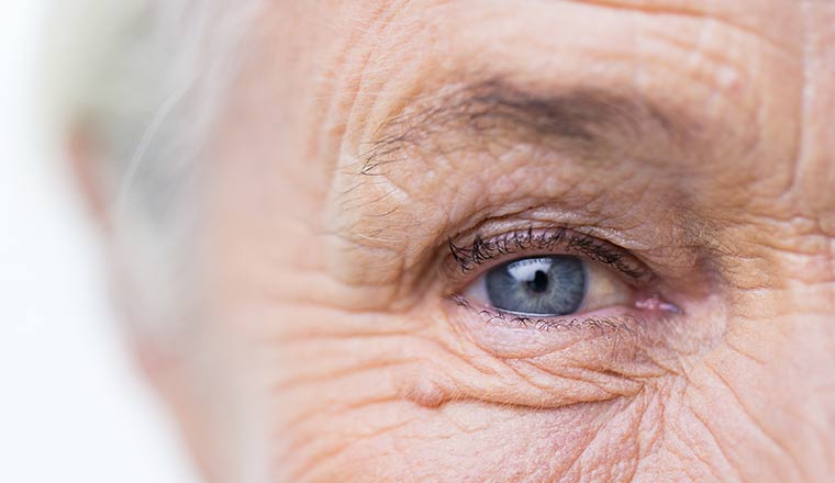 Close up of a senior persons face and eye