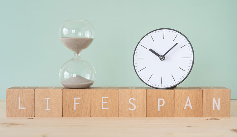 Eight wooden blocks with "LIFESPAN", a clock, and a sandglass.