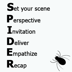SPIDER - set your scene, perspective, invitation, deliver, empathise, recap