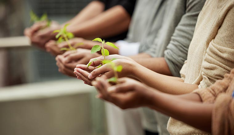 What you nurture will grow. Closeup shot of a group of unrecognisable people holding plants growing in soil.