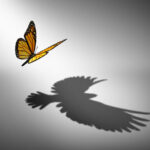 Empowerment concept with butterfly and eagle shadow