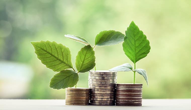 Coins in piles with leaves