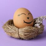 Egg with drawn happy face in nest