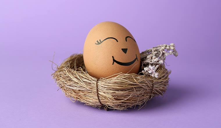 Egg with drawn happy face in nest