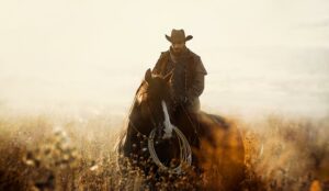 Cowboy on a horse - wild west concept