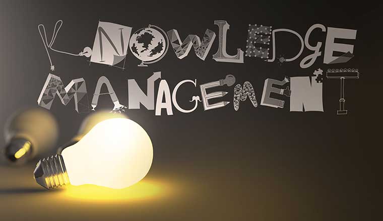 KNOWLEDGE MANAGEMENT word and light bulb