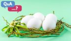 Nesting concept with nest and eggs