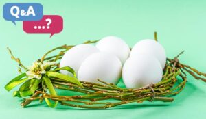 Nesting concept with nest and eggs