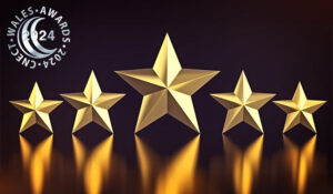 5 Golden stars