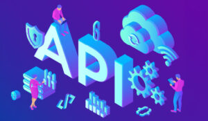 API Software concept