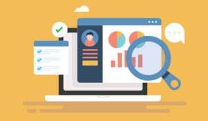 Customer data sheet
