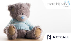 Grey teddy bear
