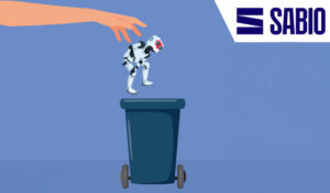 Hand throwing a robot in the bin