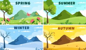 Scenery of the Four Seasons of Nature with Landscape Spring, Summer, Autumn and Winter