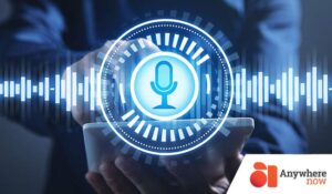 Voice assistant concept