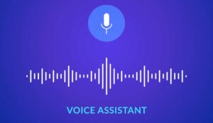 Voice assistant concept