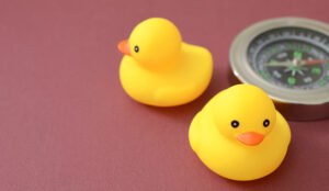 Leadership alignment concept with two yellow rubber ducks facing different ways and a compass